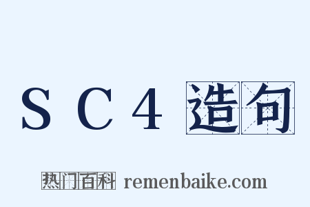 SC4造句是什么意思的图片